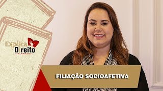 Explica Direito Filiação Socioafetiva  2019 [upl. by Denyse]