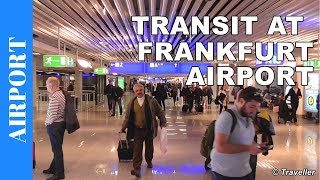 TRANSIT WALK AT FRANKFURT Airport FRA Terminal 1  Connection Flight Transfer Arriving amp Departing [upl. by Lila554]